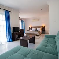 ნომრები preview