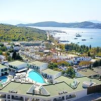 ყველა preview