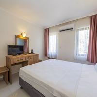 ნომრები preview