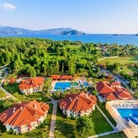 ყველა preview