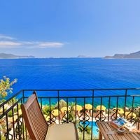 ნომრები preview