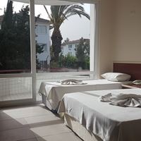 ნომრები preview