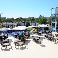 ბარი preview