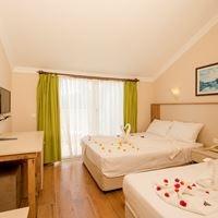 ნომრები preview