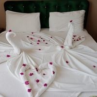 ნომრები preview