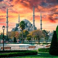 ყველა preview