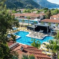 ყველა preview