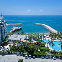 ყველა preview