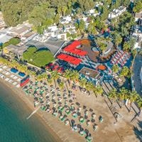 ყველა preview