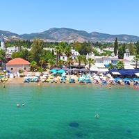 ყველა preview