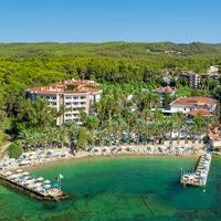 ყველა preview