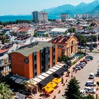 ყველა preview