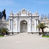 ყველა preview