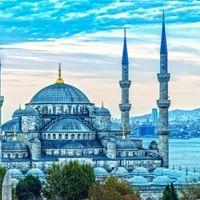 ყველა preview