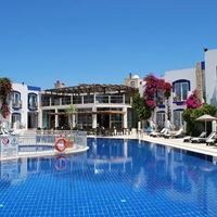 ყველა preview