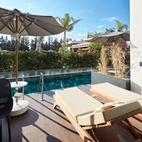 ნომრები preview