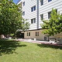 ყველა preview