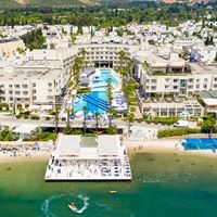 ყველა preview