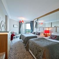 ნომრები preview