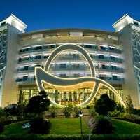 ყველა preview