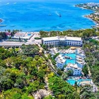 ყველა preview