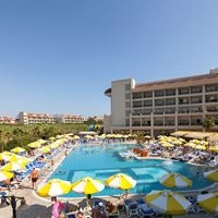 ყველა preview