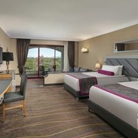 ნომრები preview