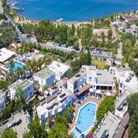 ყველა preview