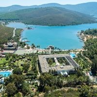 ყველა preview