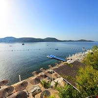 პლაჟი preview