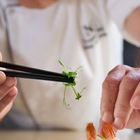 რესტორანი preview