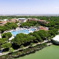 ყველა preview