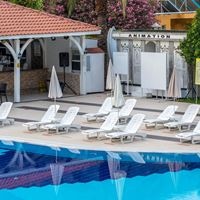 ბარი preview