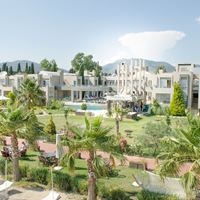 ყველა preview