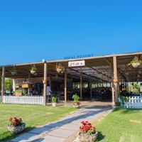 ბარი preview