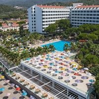 ყველა preview