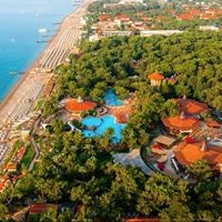 ყველა preview