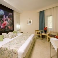 ნომრები preview