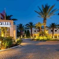 ყველა preview