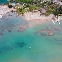 ყველა preview