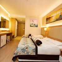 ნომრები preview