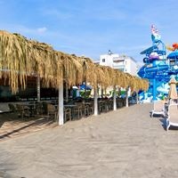 ბარი preview