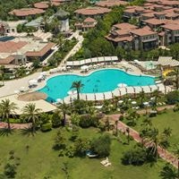 ყველა preview