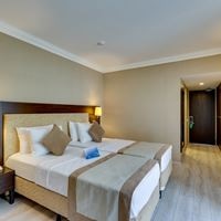 ნომრები preview