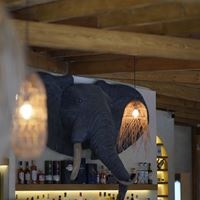 ბარი preview