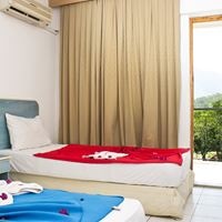 ნომრები preview