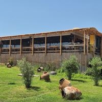 რესტორანი preview