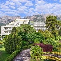 ყველა preview