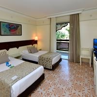 ნომრები preview