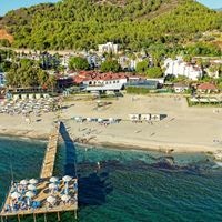 ყველა preview